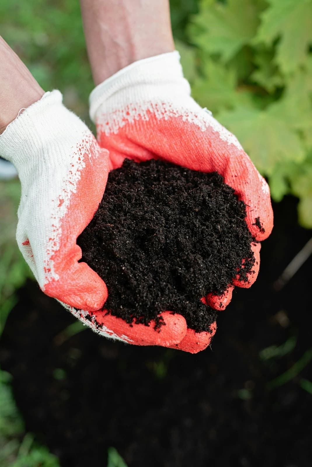 Fertilizers & Pesticides